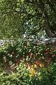 31. Primrose Garden